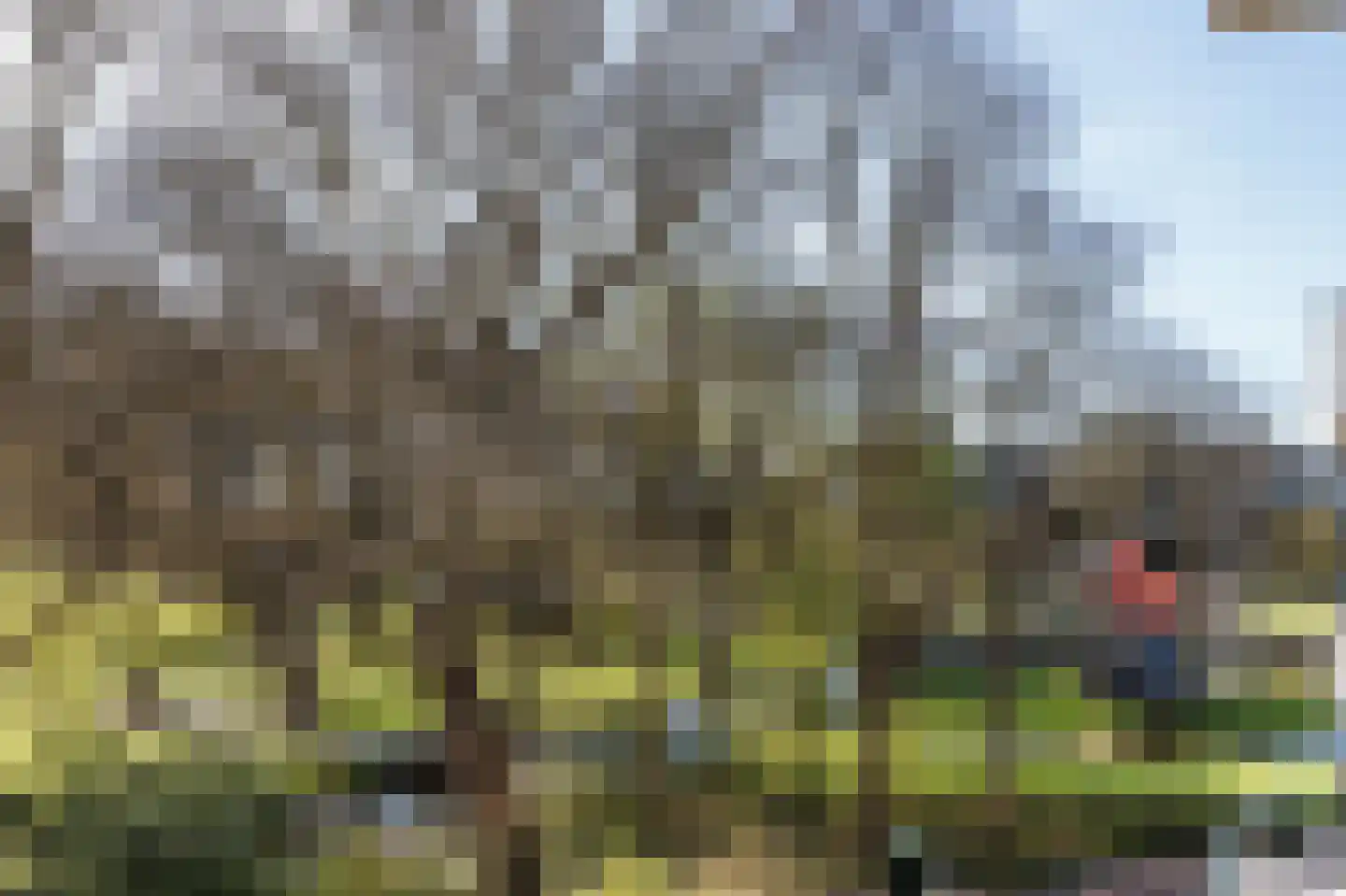 Lelielaan 21 Oegstgeest thumbnail 14