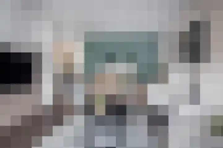 Lelielaan 23 Lutjebroek thumbnail 11