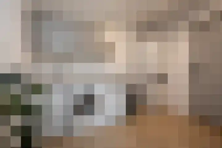 Lelielaan 23 Lutjebroek thumbnail 16