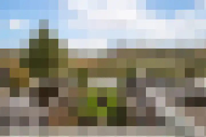 Lelielaan 23 Lutjebroek thumbnail 25