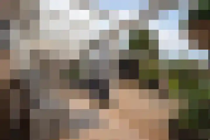Lelielaan 23 Lutjebroek thumbnail 28