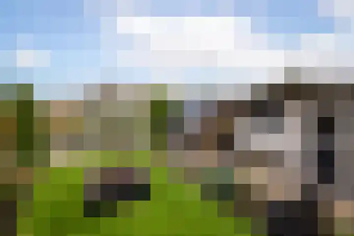 Lelielaan 23 Lutjebroek thumbnail 30