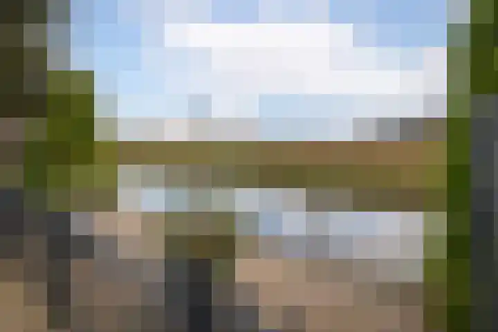Lelielaan 23 Lutjebroek thumbnail 31