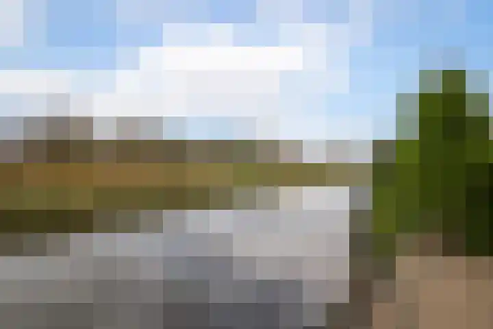 Lelielaan 23 Lutjebroek thumbnail 32