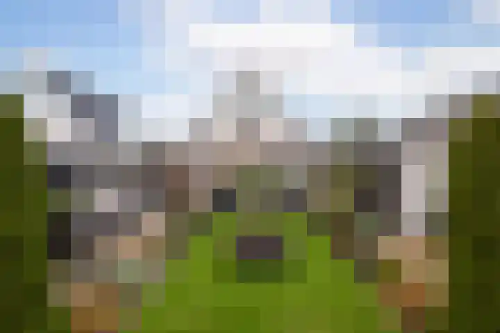 Lelielaan 23 Lutjebroek thumbnail 33
