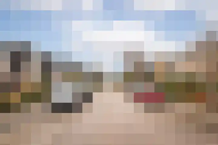 Lelielaan 23 Lutjebroek thumbnail 37