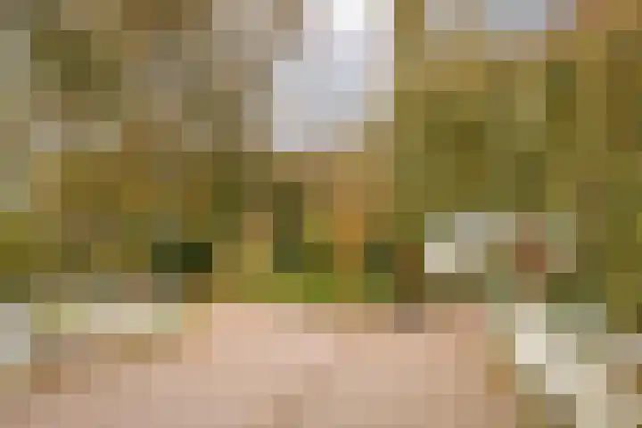 Lelielaan 23 Lutjebroek thumbnail 38