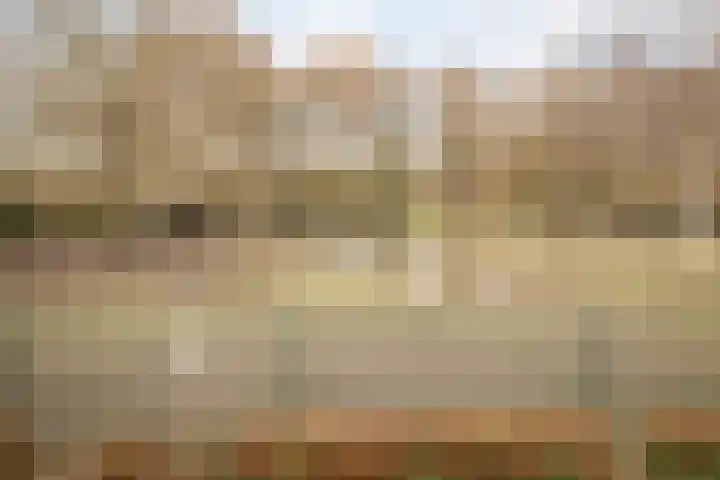 Lelielaan 23 Lutjebroek thumbnail 39