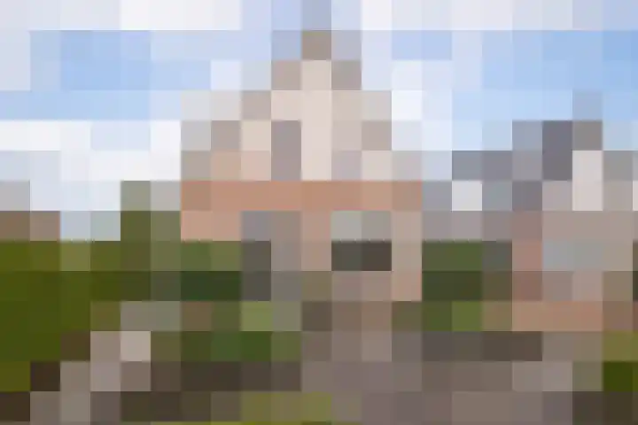 Lelielaan 23 Lutjebroek thumbnail 5