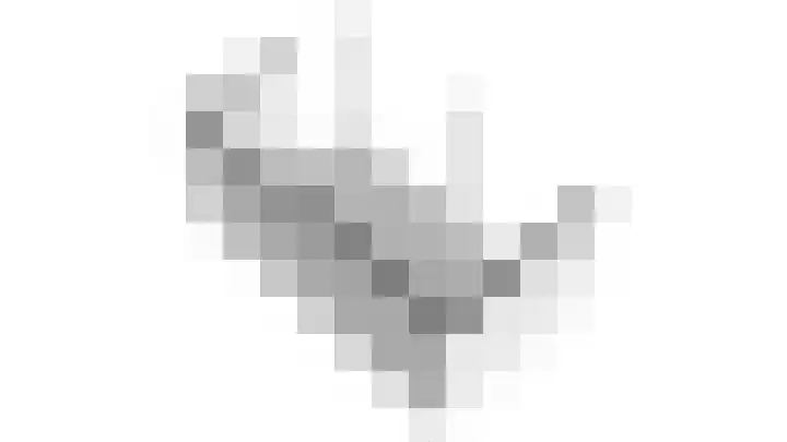Lelielaan 23 Lutjebroek thumbnail 58