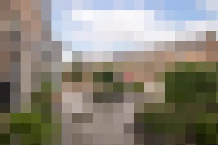 Lelielaan 23 Lutjebroek thumbnail 6