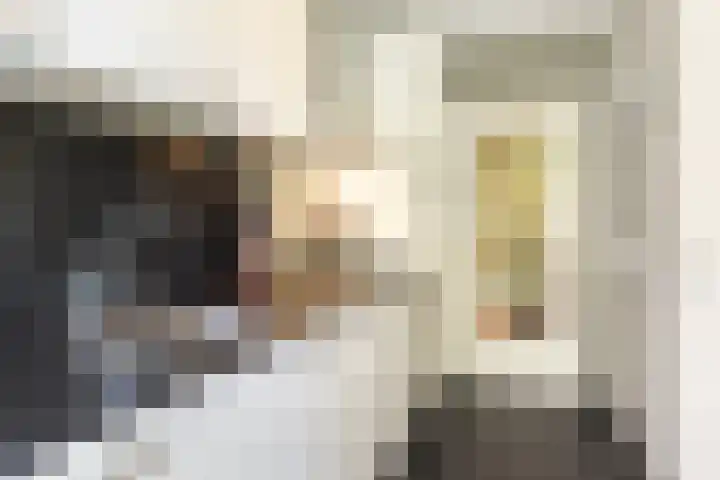 Lelielaan 33 Oegstgeest thumbnail 12