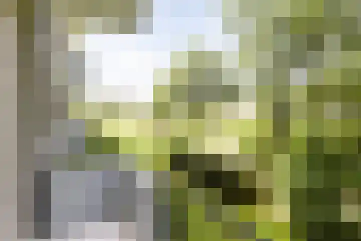 Lelielaan 33 Oegstgeest thumbnail 13