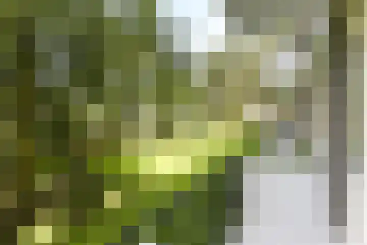 Lelielaan 33 Oegstgeest thumbnail 14