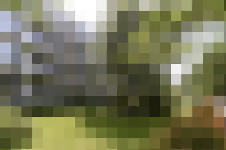 Lelielaan 33 Oegstgeest thumbnail 23