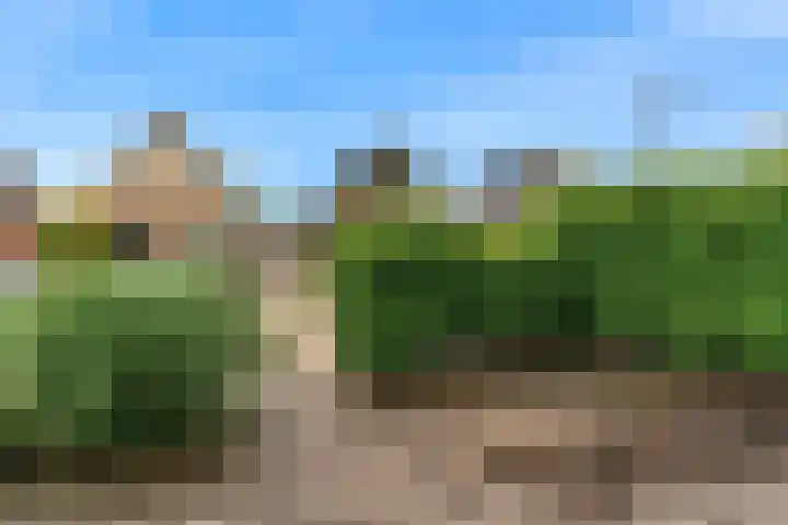 Lelielaan 34 Lutjebroek thumbnail 30