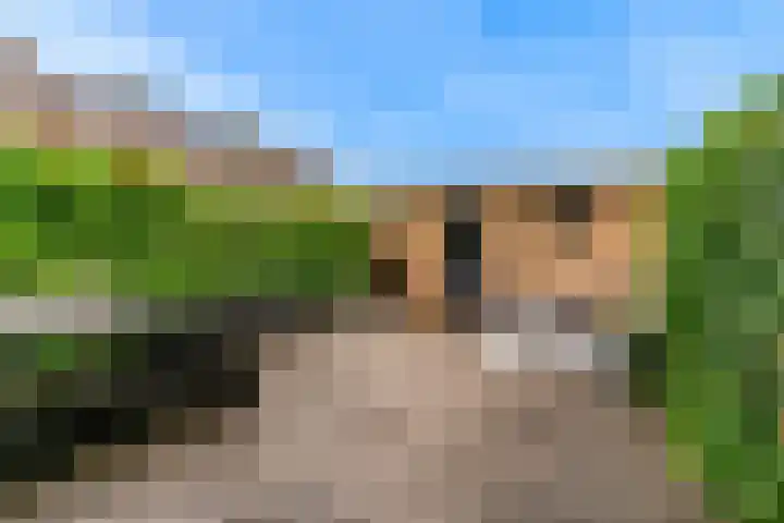 Lelielaan 34 Lutjebroek thumbnail 4