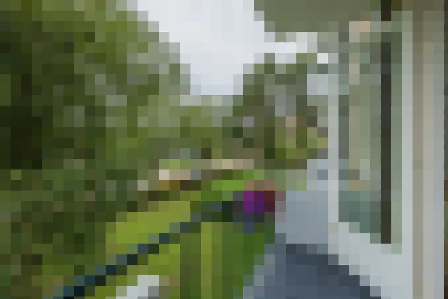 Lelielaan 35 Oegstgeest thumbnail 16
