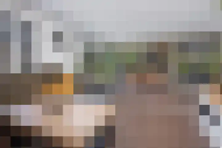 Lelielaan 4 Hoogkarspel thumbnail 10