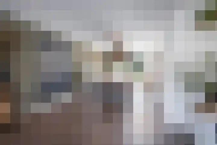 Lelielaan 4 Hoogkarspel thumbnail 11