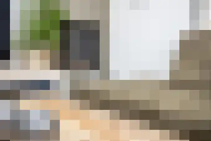 Lelielaan 4 Hoogkarspel thumbnail 16