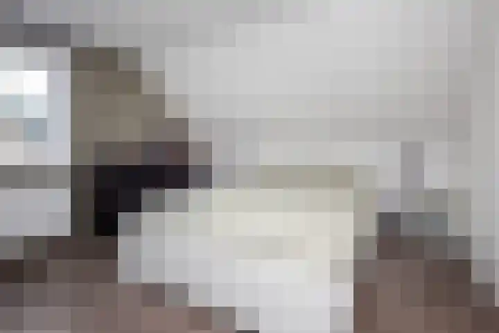 Lelielaan 4 Hoogkarspel thumbnail 18