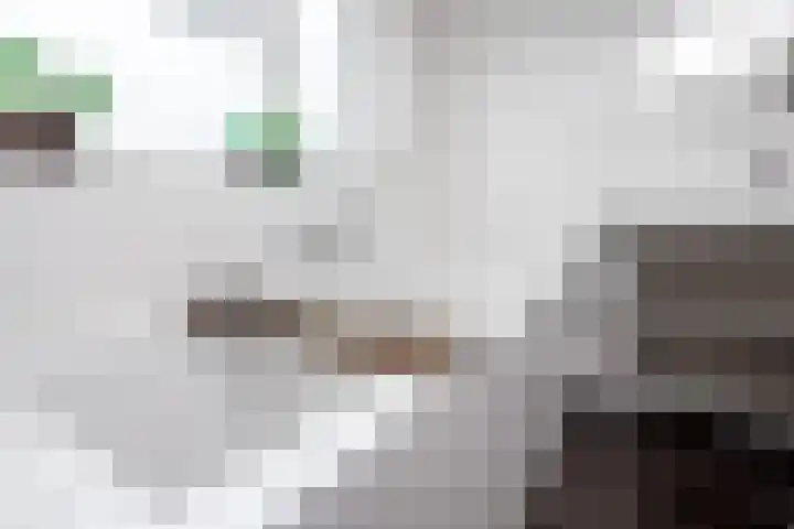 Lelielaan 4 Hoogkarspel thumbnail 25