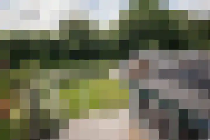 Lelielaan 4 Hoogkarspel thumbnail 26