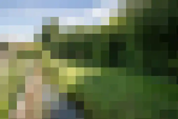 Lelielaan 4 Hoogkarspel thumbnail 28