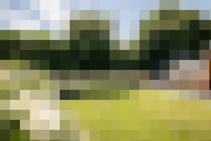 Lelielaan 4 Hoogkarspel thumbnail 32