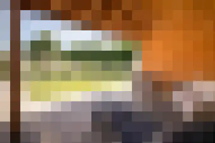 Lelielaan 4 Hoogkarspel thumbnail 34