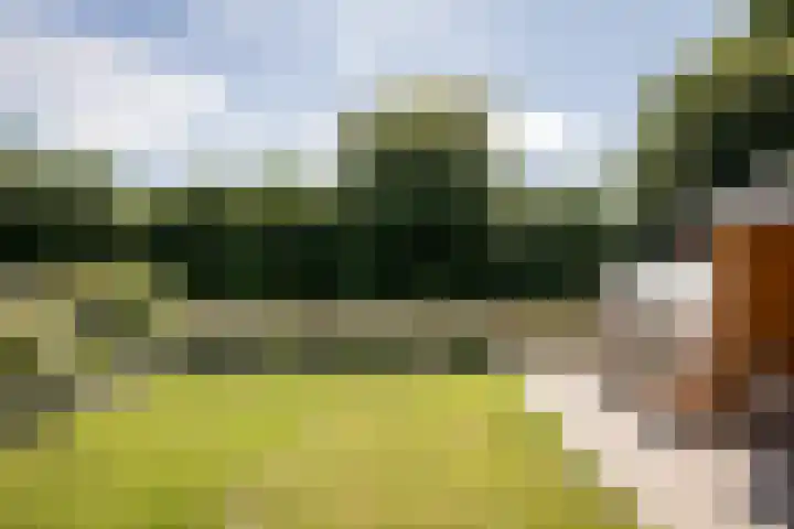 Lelielaan 4 Hoogkarspel thumbnail 35