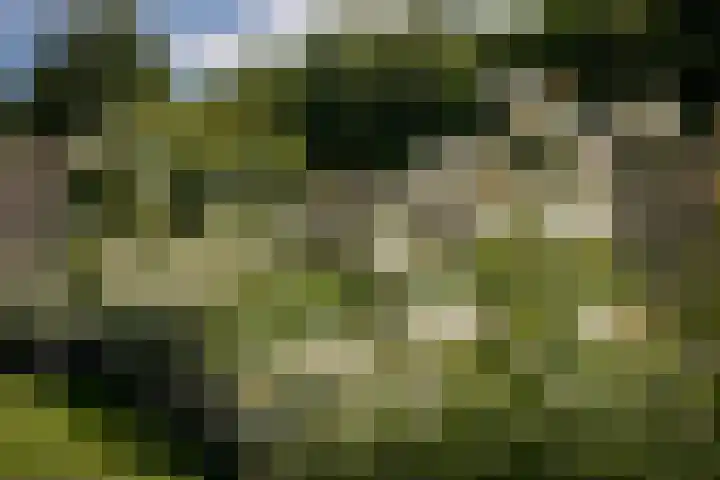 Lelielaan 4 Hoogkarspel thumbnail 36