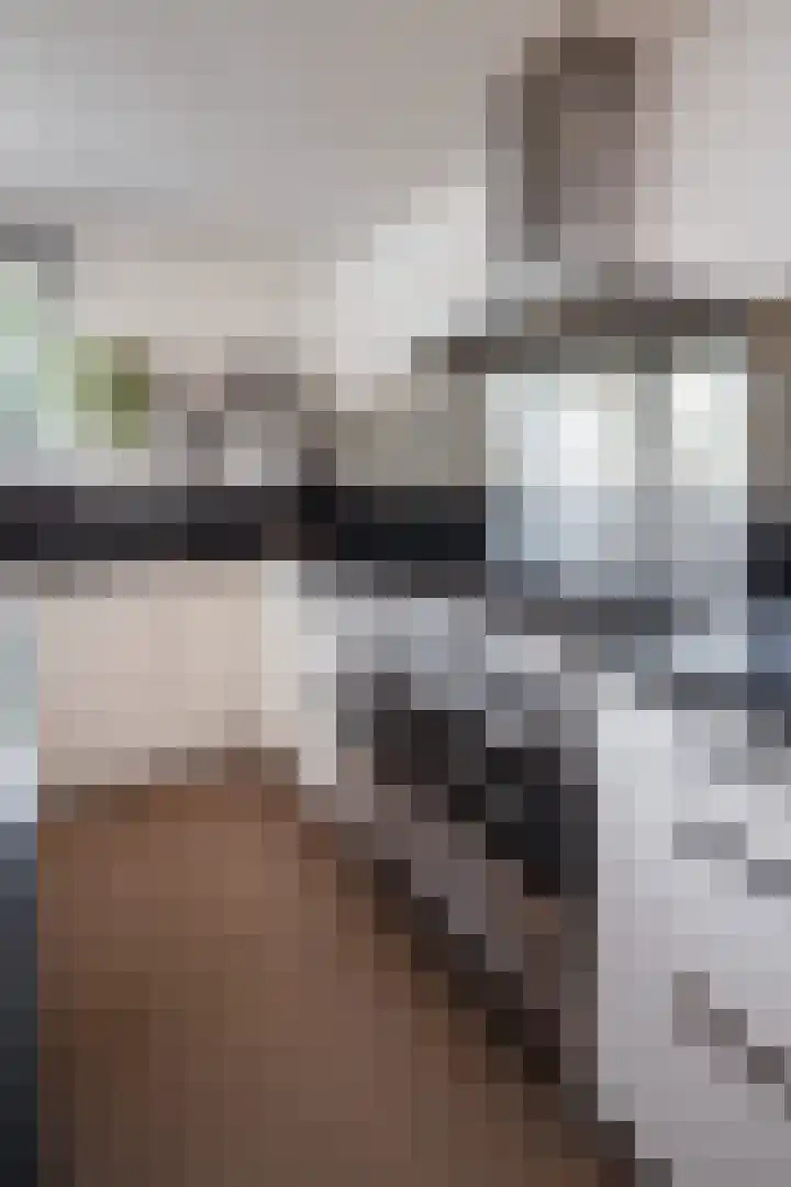 Lelielaan 4 Hoogkarspel thumbnail 47