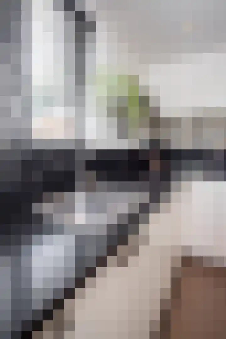 Lelielaan 4 Hoogkarspel thumbnail 48