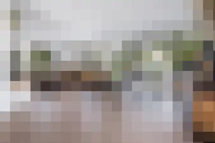 Lelielaan 4 Hoogkarspel thumbnail 8