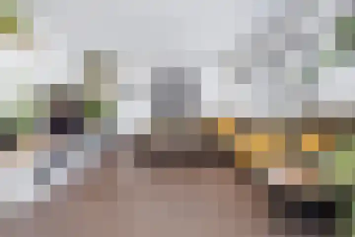 Lelielaan 4 Hoogkarspel thumbnail 9