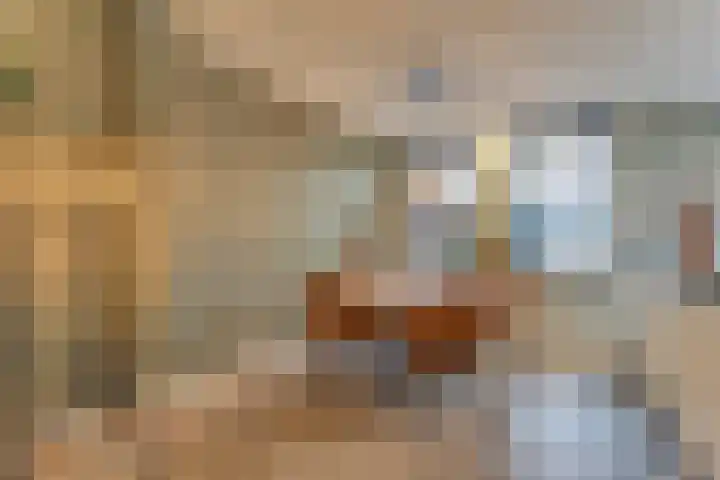 Lelielaan 43 Hoogkarspel thumbnail 18
