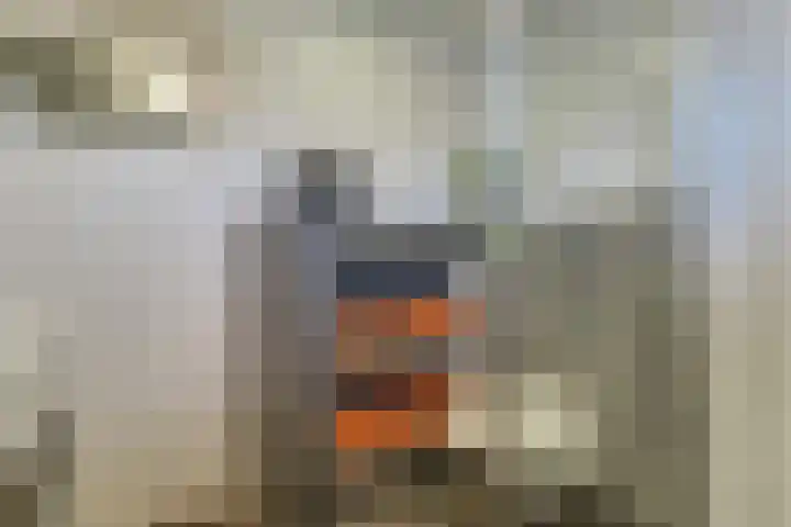 Lelielaan 43 Hoogkarspel thumbnail 47