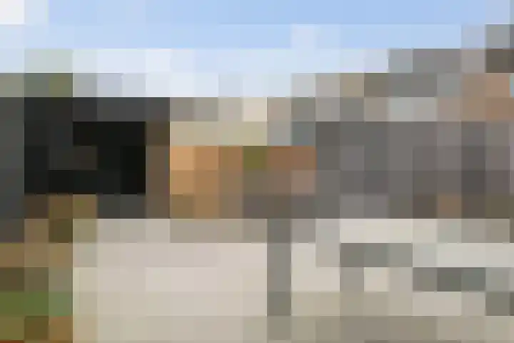Lelielaan 43 Hoogkarspel thumbnail 58