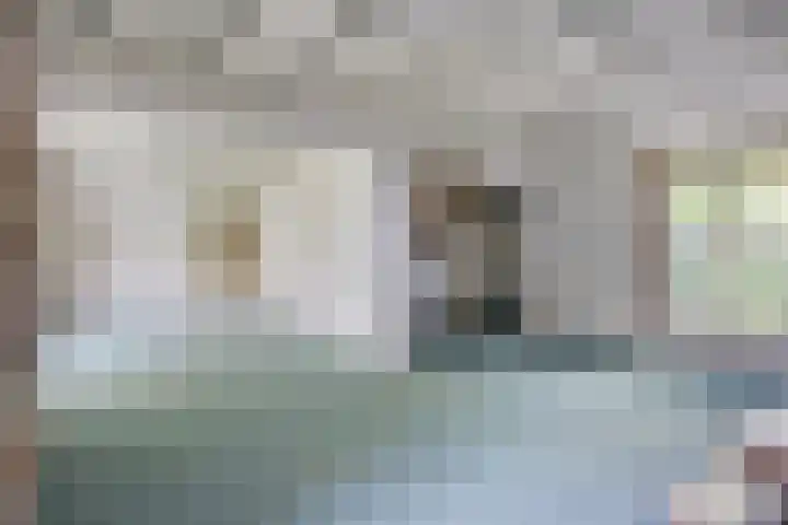 Lelielaan 5 Veghel thumbnail 12