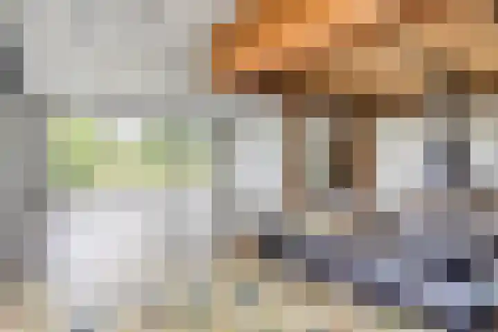 Lelielaan 5 Veghel thumbnail 17