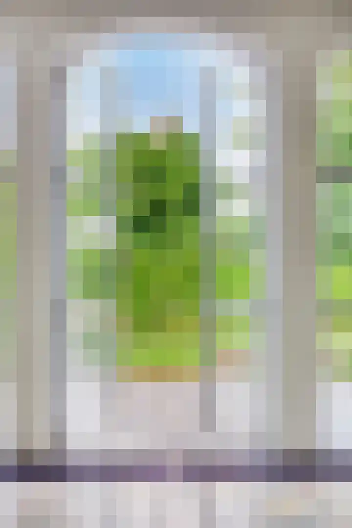 Lelielaan 5 Veghel thumbnail 19