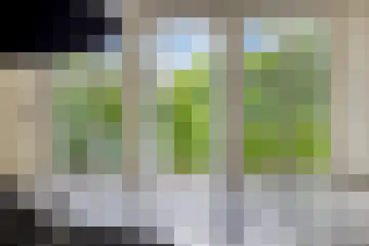 Lelielaan 5 Veghel thumbnail 21