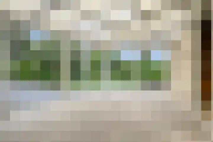 Lelielaan 5 Veghel thumbnail 22