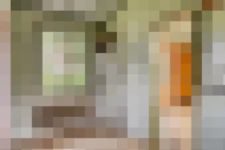 Lelielaan 5 Veghel thumbnail 29
