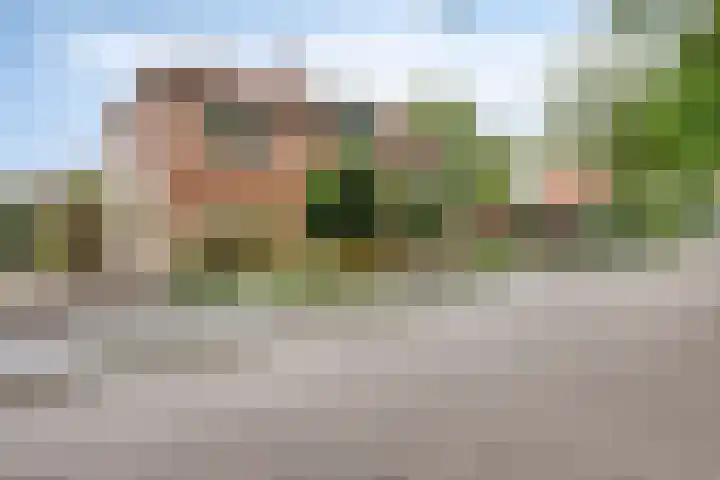 Lelielaan 5 Veghel foto 3