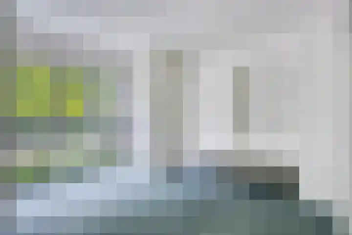 Lelielaan 5 Veghel thumbnail 38