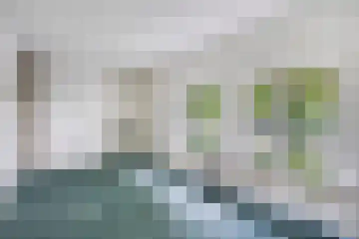 Lelielaan 5 Veghel thumbnail 41