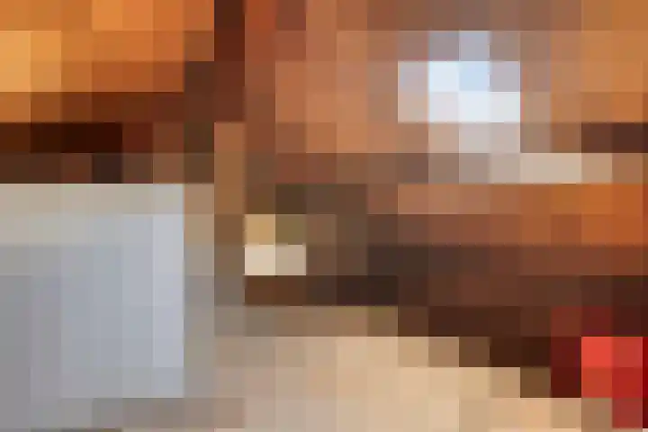 Lelielaan 5 Veghel thumbnail 43